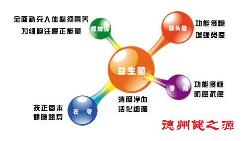 腸胃功能差，益生菌就可以解決一切
