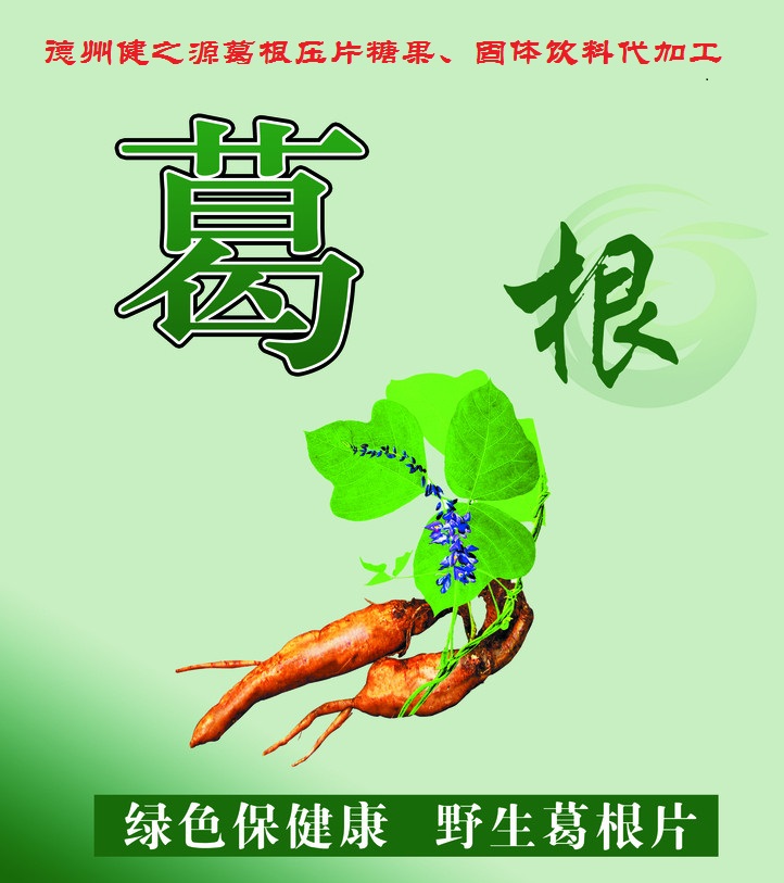 葛根，男女通用的人體調(diào)理專家