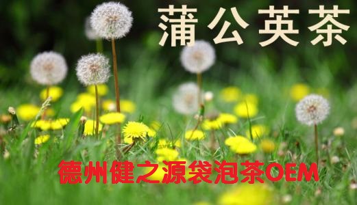 蒲公英茶，今天您喝了嗎？